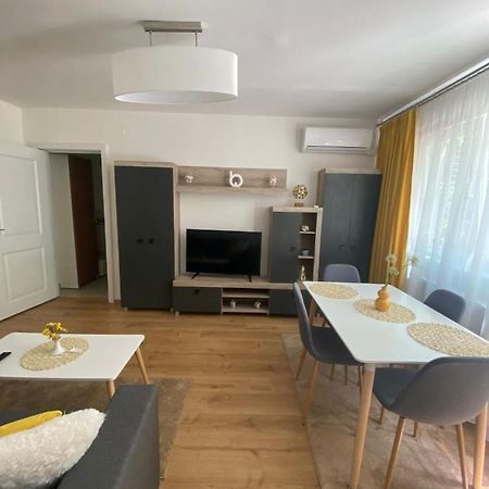 Apartamentul Gaviota Timisoara Exterior foto
