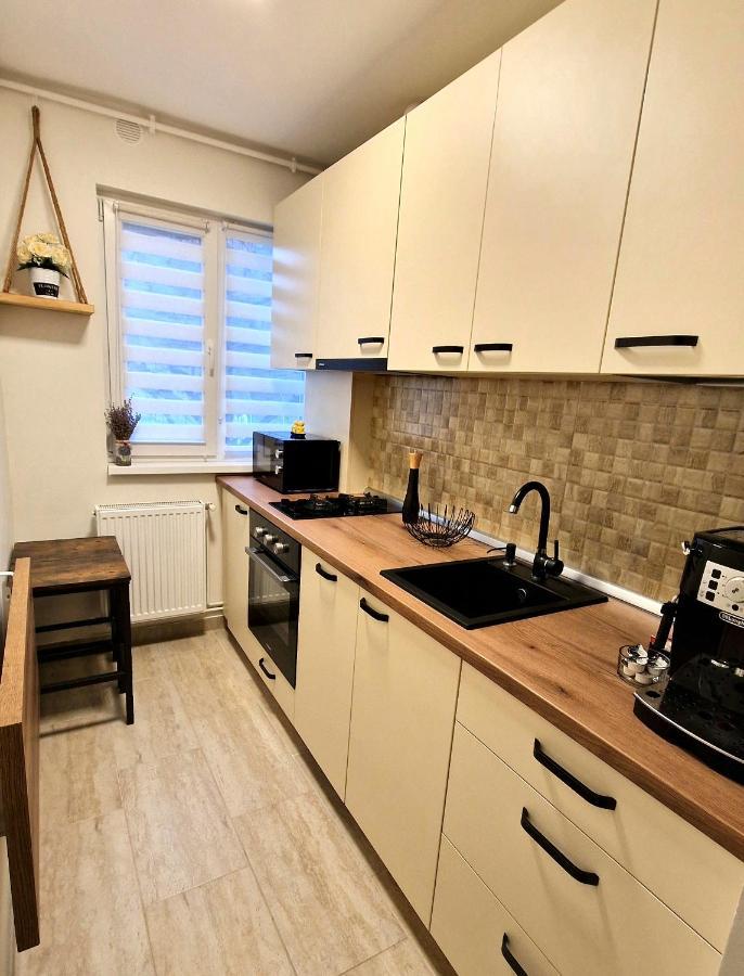 Apartamentul Gaviota Timisoara Exterior foto